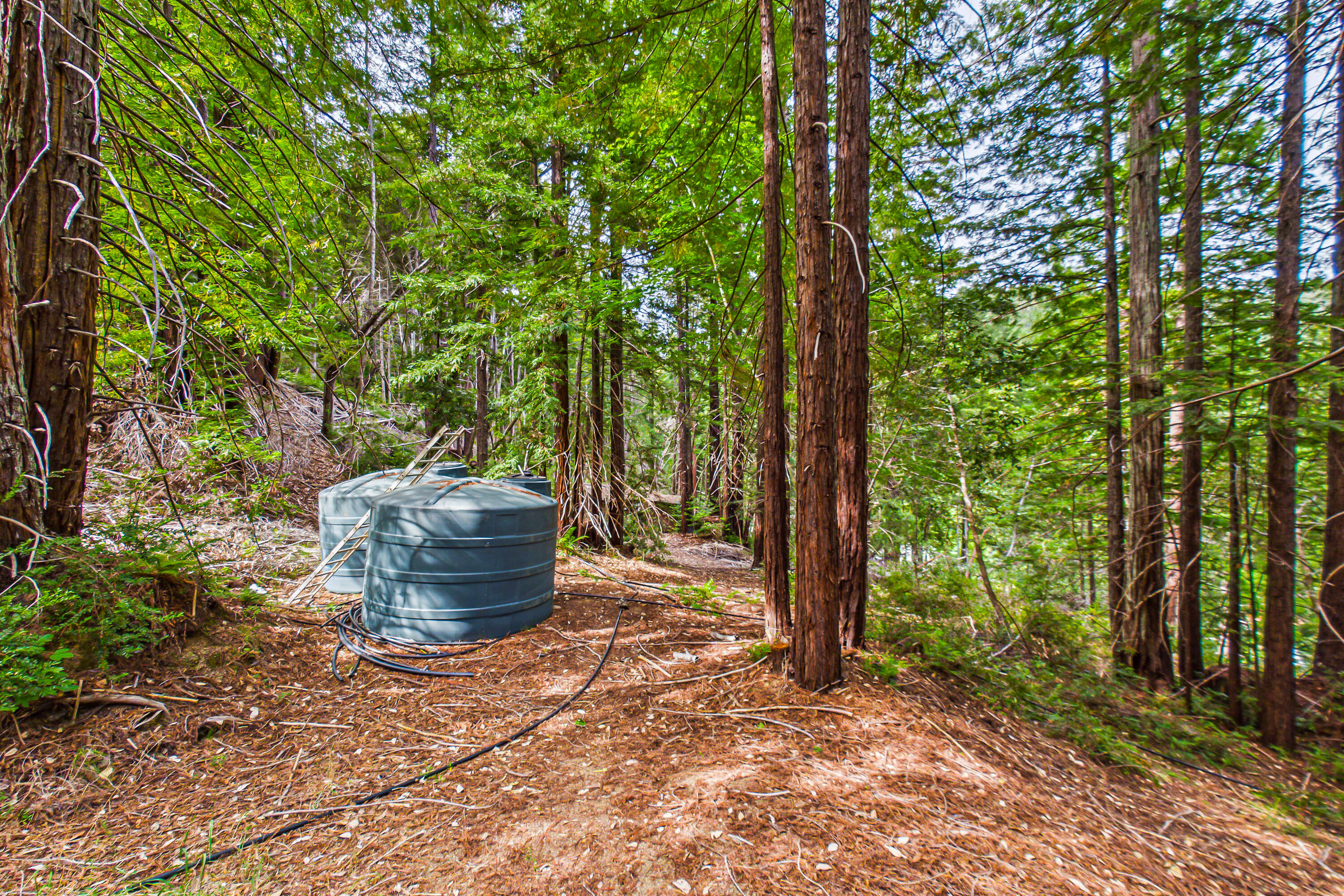 1005 Twin Trees Road Garberville, CA 95542 - Photo 65 of 84