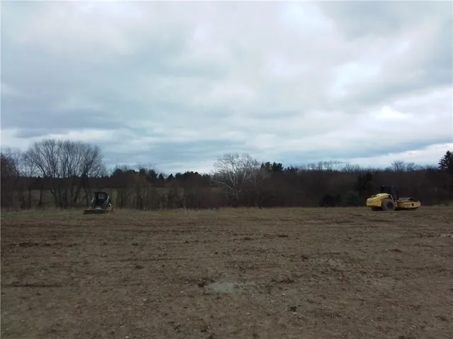 a view of a dry yard with trees