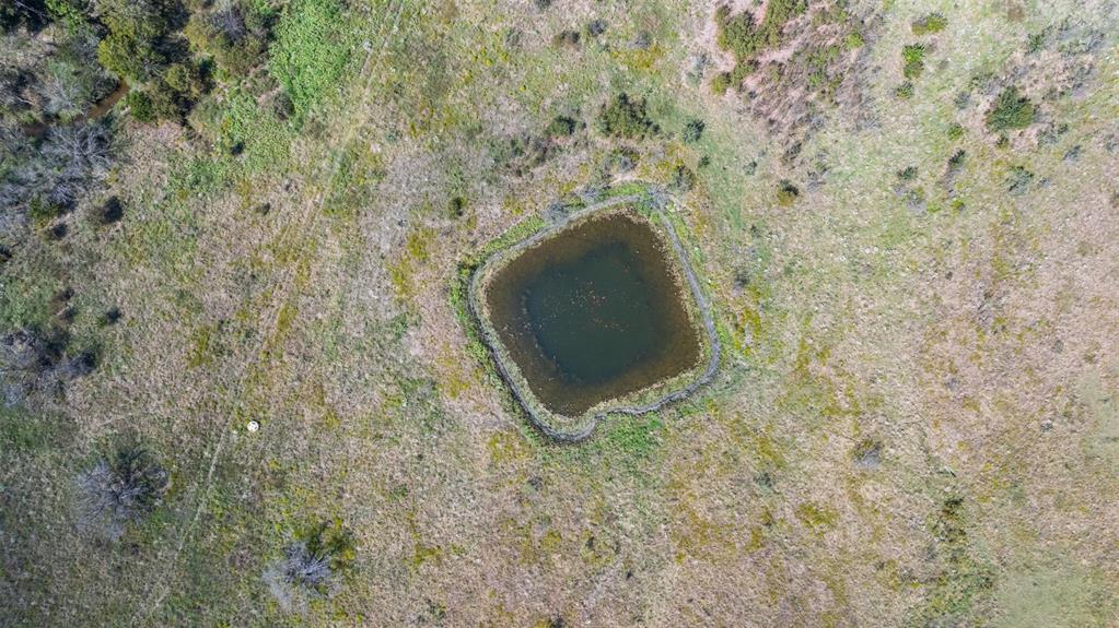 73 Tbd Fm Coolidge, TX 76635 - Photo 15 of 23 a view of a dry yard in a forest