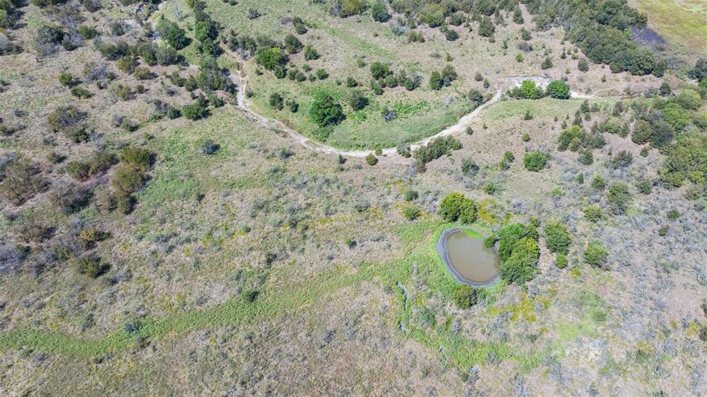 73 Tbd Fm Coolidge, TX 76635 - Photo 18 of 23 a view of a dry back yard