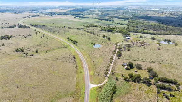 a view of a dry yard in a forest