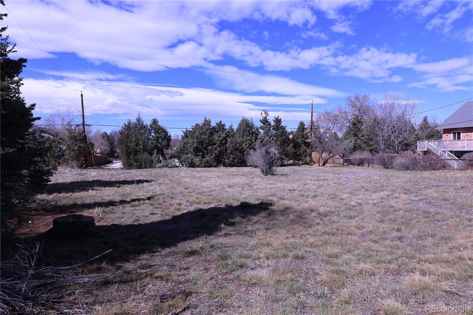 6263 South Clarkson Street Centennial, CO 80121 - Photo 1 of 2 a view of a dry yard with trees