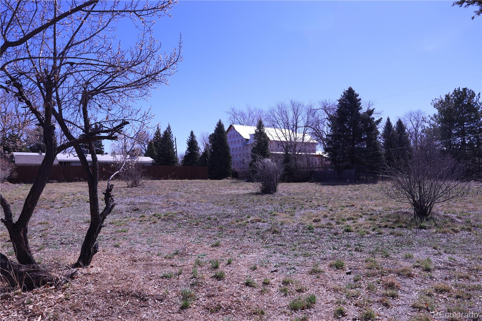 6263 South Clarkson Street Centennial, CO 80121 - Photo 2 of 2 a view of backyard and trees