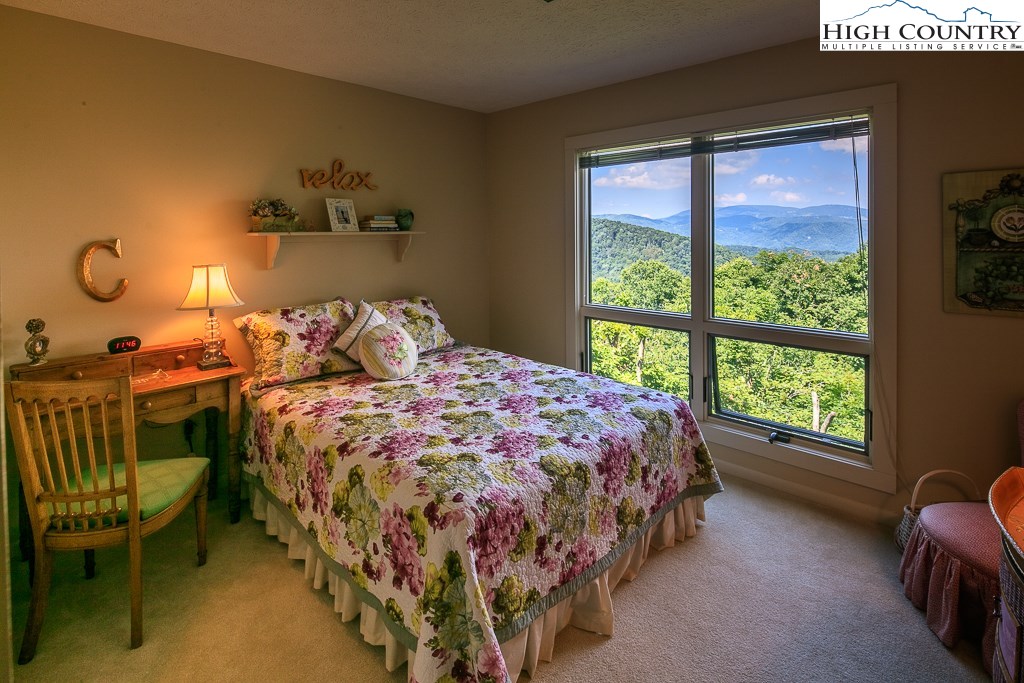 1736 Hickory Boone, NC 28607 - Photo 19 of 41 Gallery Image 19