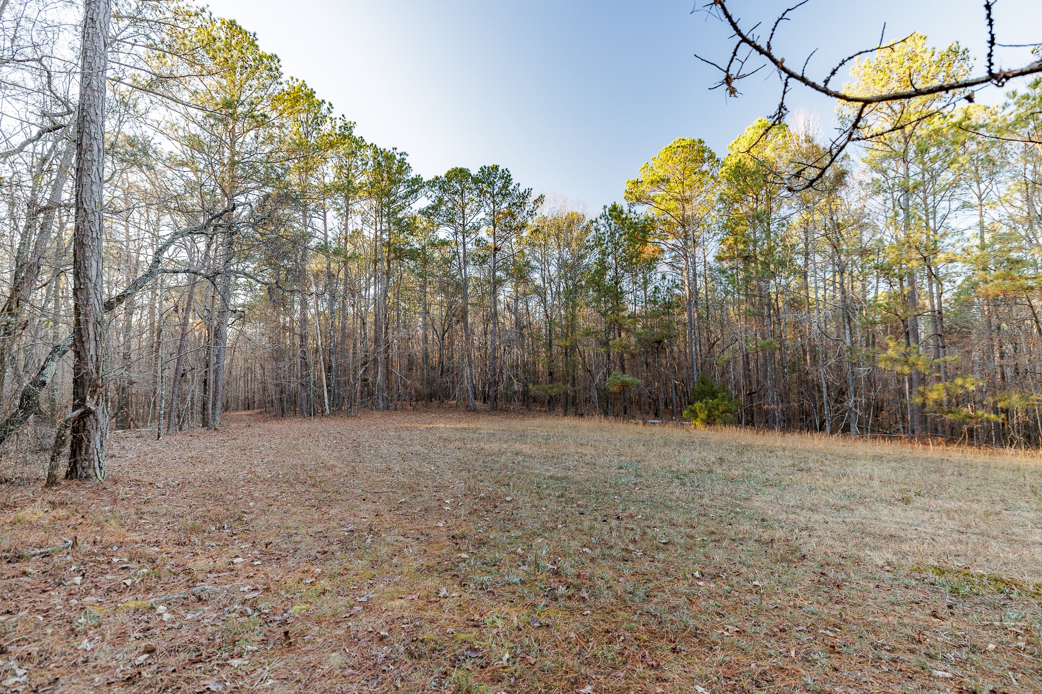 8548 Elberton Road Tignall, GA 30668 - Photo 35 of 50 a backyard of a house with lots of green space
