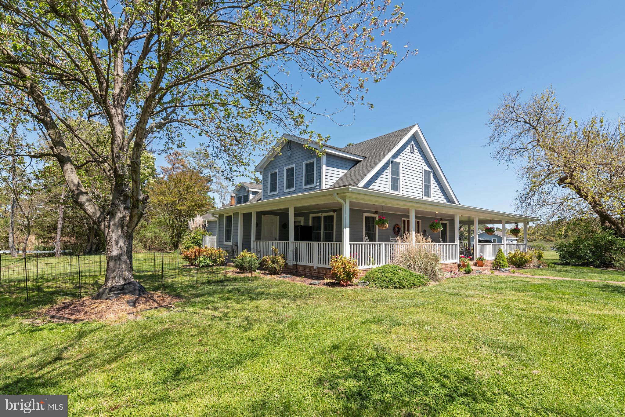1554 Taylors Island Road Woolford, MD 21677 - Photo 53 of 64 Magnificent Trees