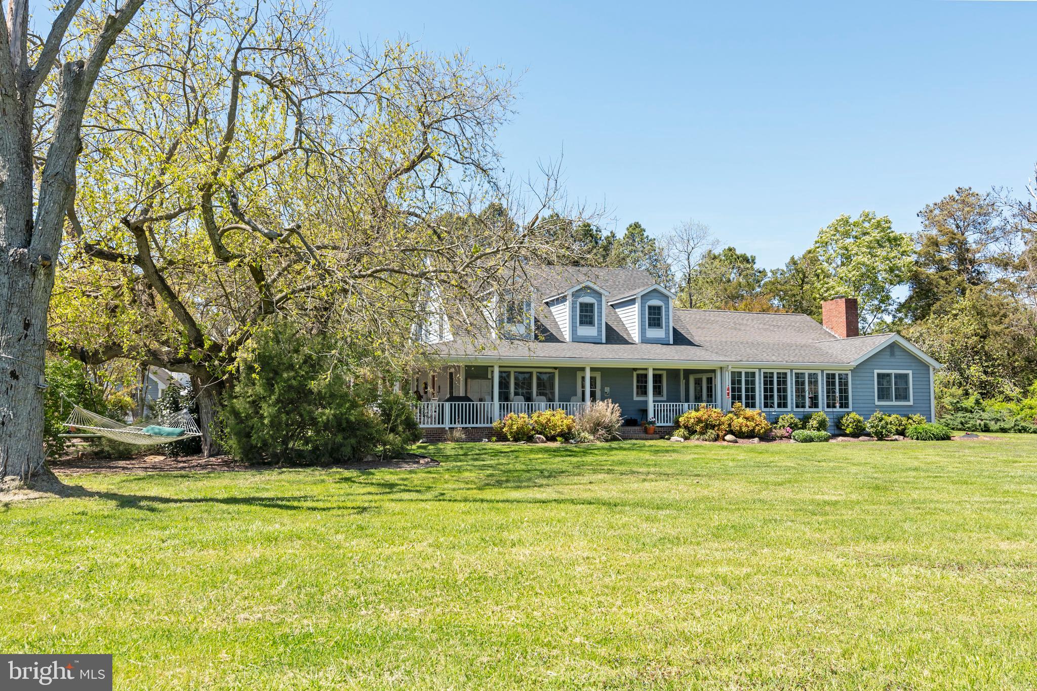 1554 Taylors Island Road Woolford, MD 21677 - Photo 7 of 64 Gorgeous Expanse of Yard