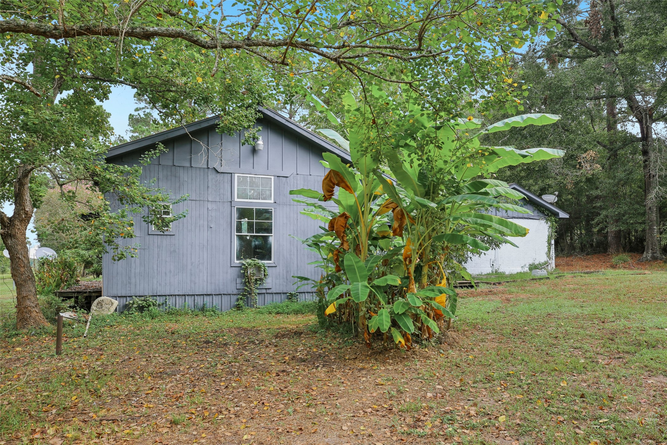 242 Bishop Street Livingston, TX 77351 - Photo 39 of 42