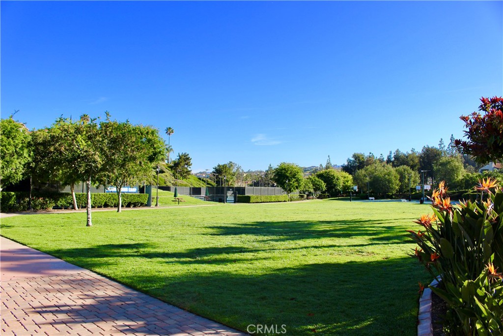 28182 Rancho Azul Laguna Niguel, CA 92677 - Photo 35 of 39 a view of a big yard with a large trees