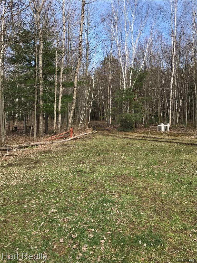 3765 Rowland Road Vassar, MI 48768 - Photo 32 of 39 IMG_1178.JPG