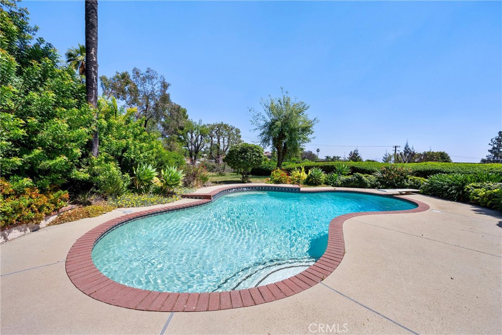 5895 Jadeite Avenue Rancho Cucamonga, CA 91737 - Photo 62 of 71 a view of a swimming pool with a yard and plants