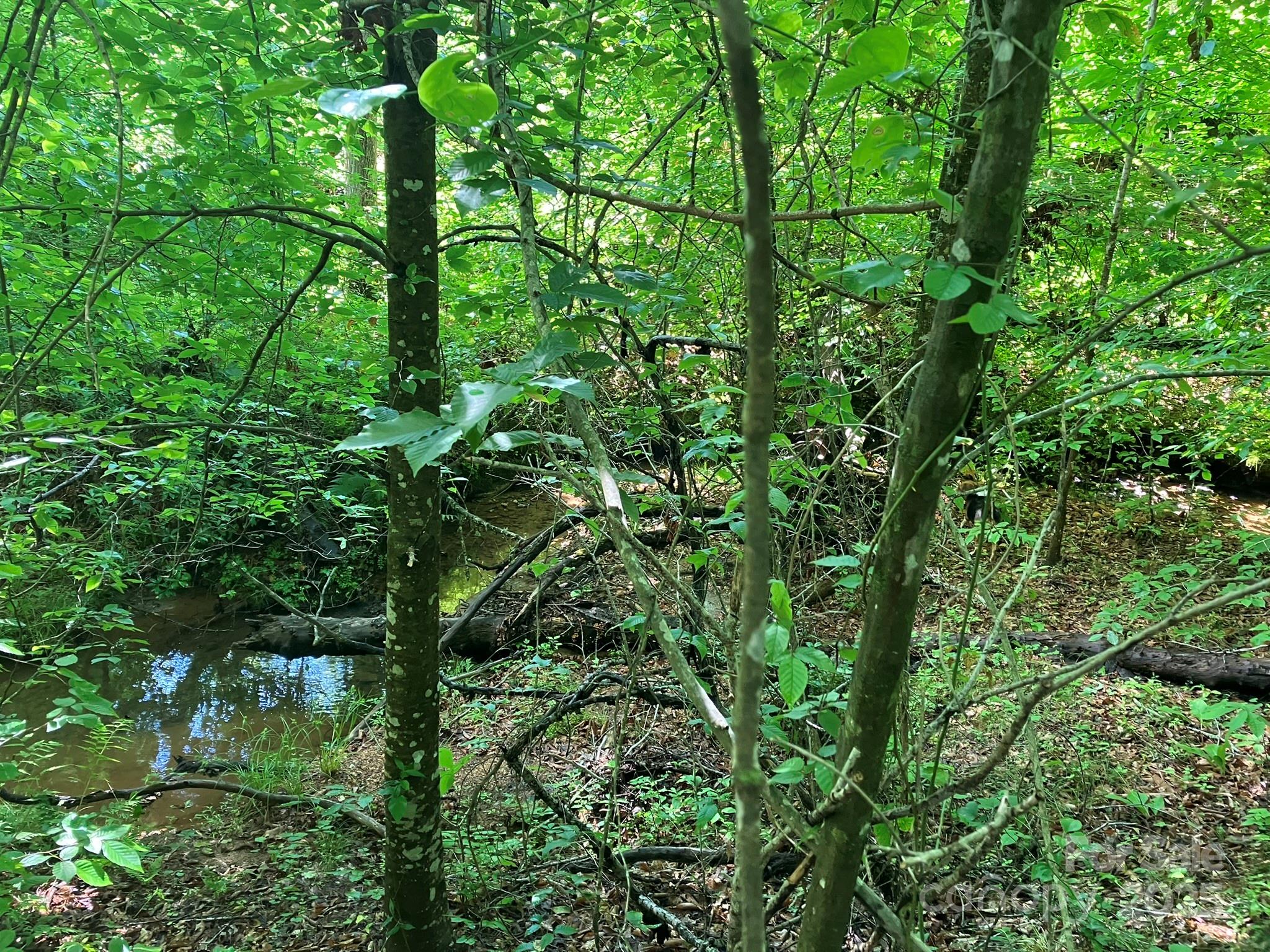 0 Padgett And Burns Road, Unit 20 Forest City, NC 28043 - Photo 5 of 14 a backyard of a house with lots of trees