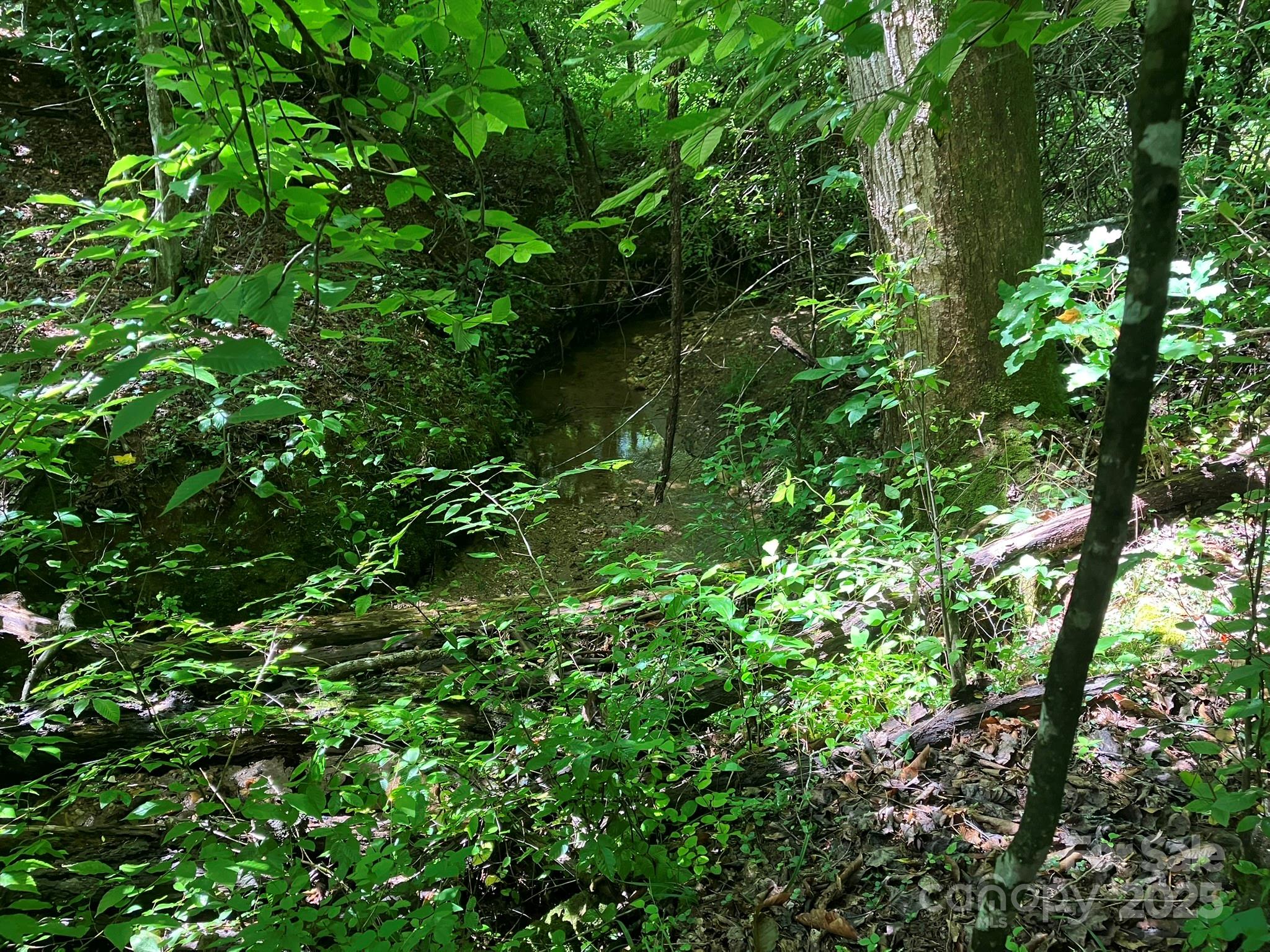 0 Padgett And Burns Road, Unit 20 Forest City, NC 28043 - Photo 10 of 14 a plant view
