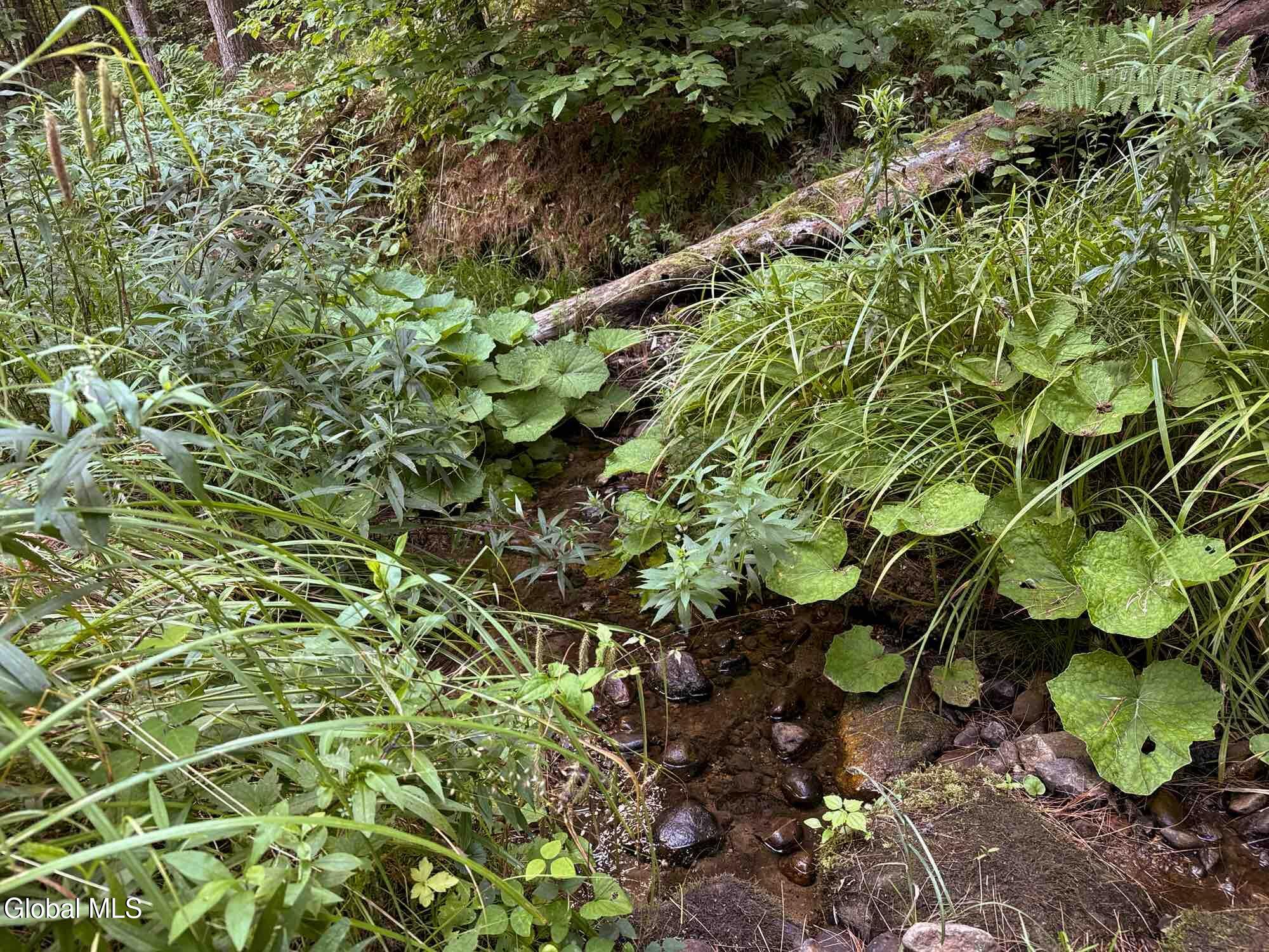 171 Trumbulls Road Jay, NY 12941 - Photo 5 of 8 Stream