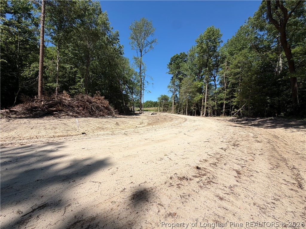 1098 Cedar Lane Road Sanford, NC 27332 - Photo 6 of 12 Easement