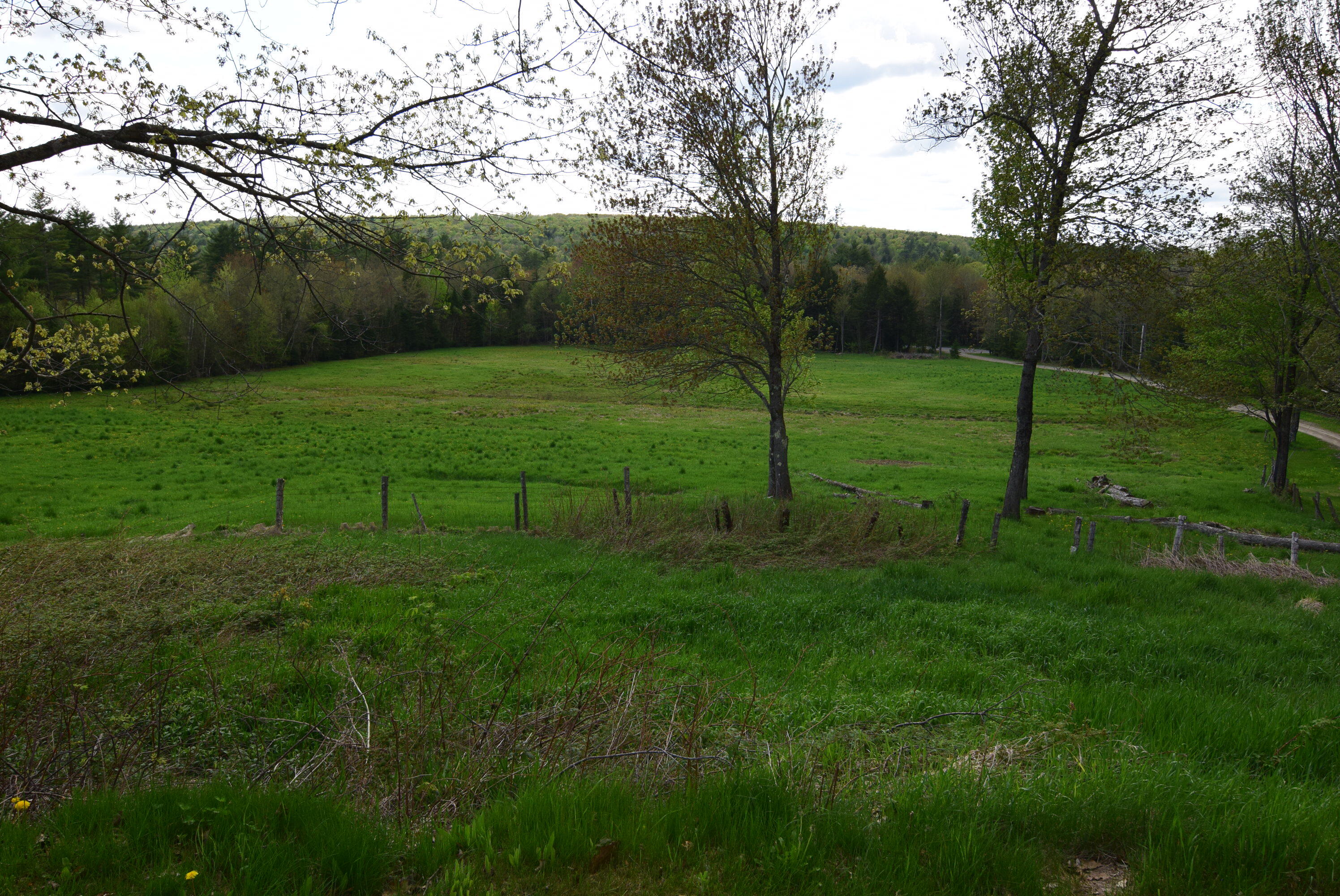 155 Pope Road Chesterville, ME 04938 - Photo 38 of 61 DSC_0177