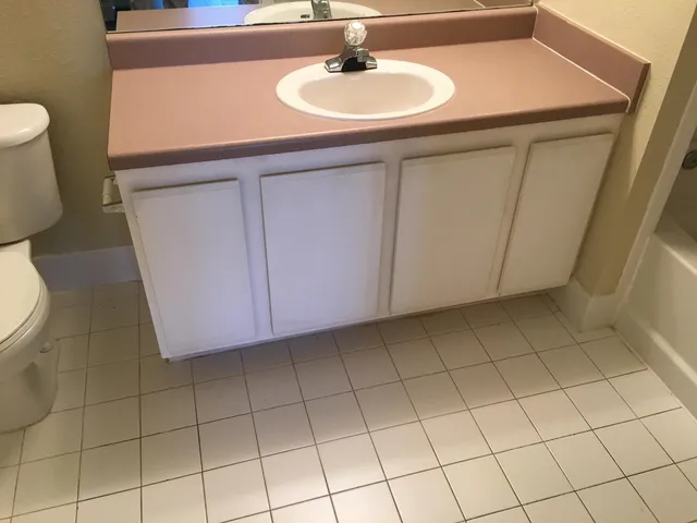 a bathroom with a sink and a toilet
