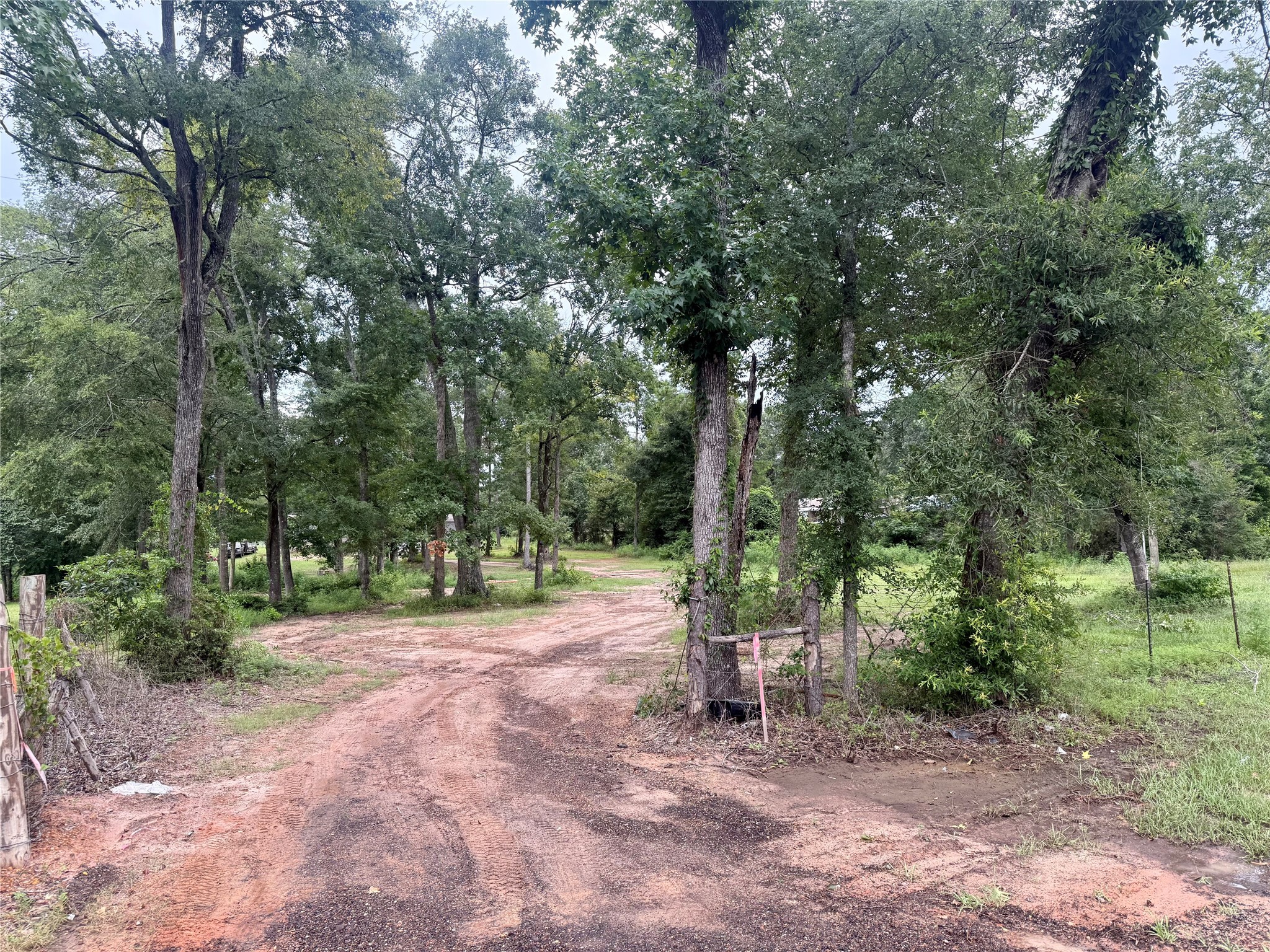 17008 FM 1484 Road Conroe, TX 77303 - Photo 4 of 38