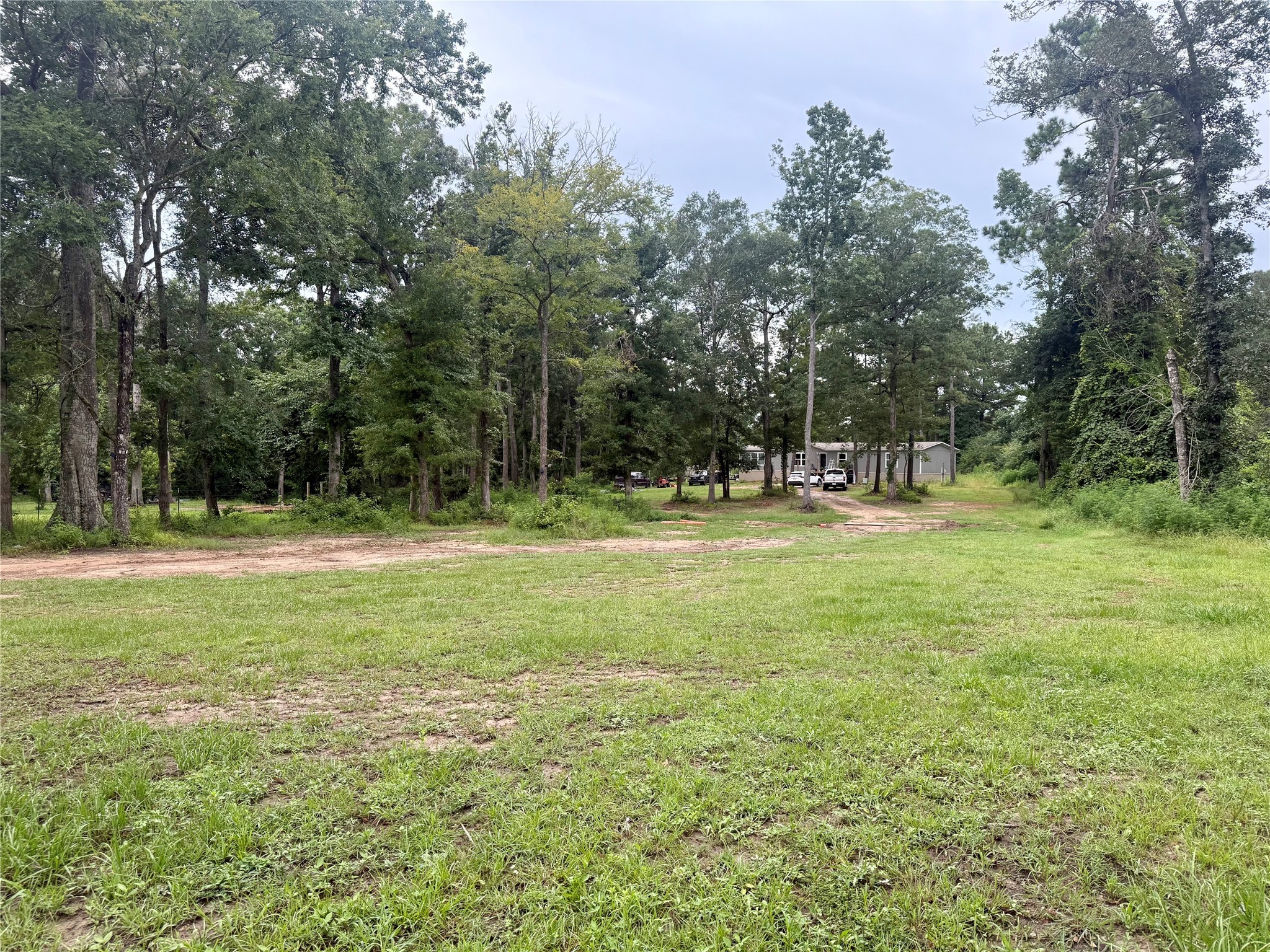 17008 FM 1484 Road Conroe, TX 77303 - Photo 5 of 38