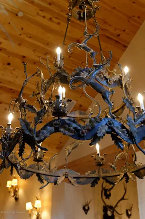 a view of a tree with a tree