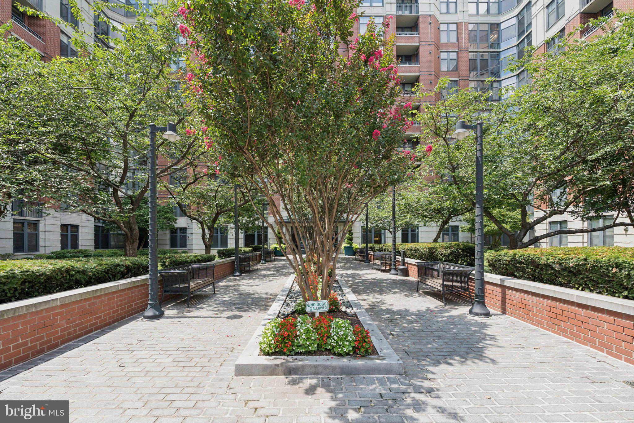 1021 North Garfield Street, Unit B39 Arlington, VA 22201 - Photo 23 of 28 Community Courtyard