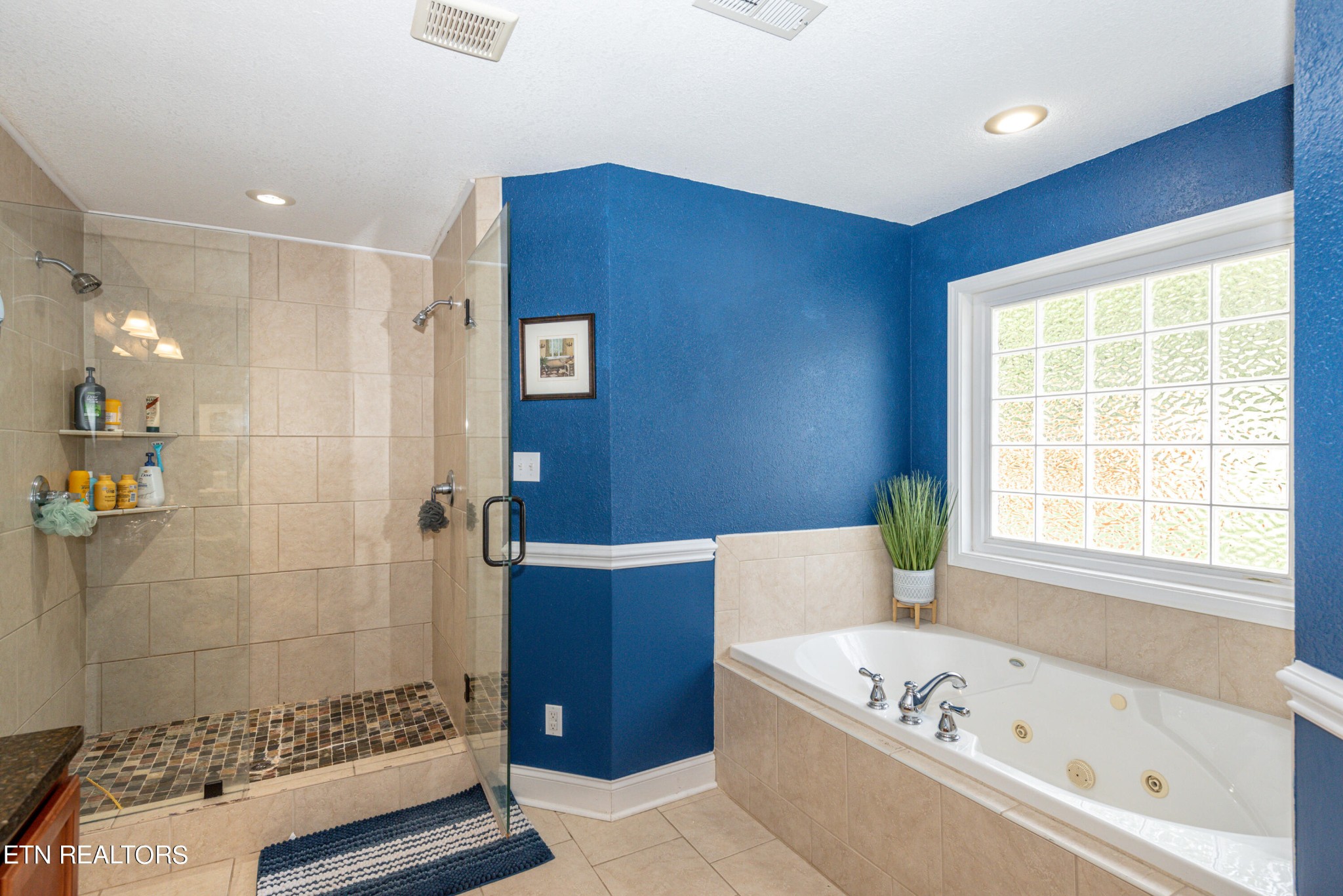 1241 Houston Springs Road Greenback, TN 37742 - Photo 11 of 47 Gallery Image 11