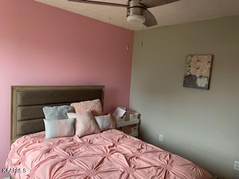 1066 Natchez Road Talbott, TN 37877 - Photo 6 of 6 IMG_0792 (1)