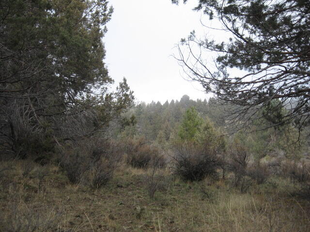 Drews Road Chiloquin, OR 97624 - Photo 7 of 20 7