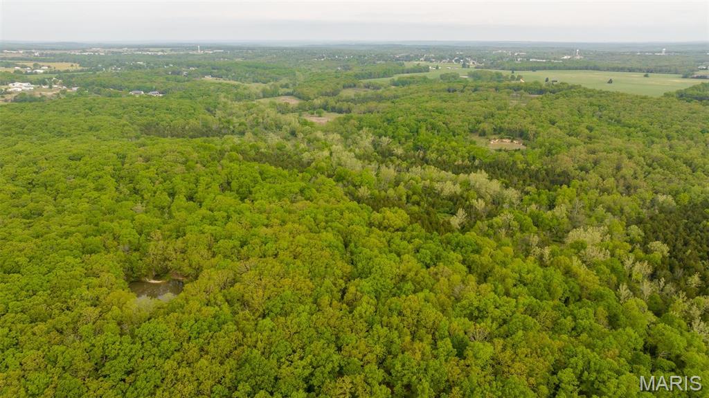 -tract #2 Tappmeyer Road Owensville, MO 65066 - Photo 21 of 60