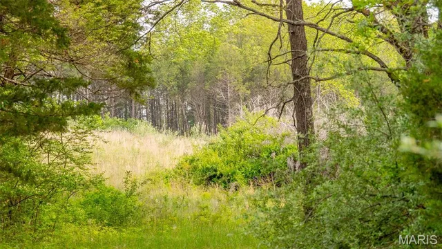 $476,000 | -tract #2 Tappmeyer Road, Owensville, MO 65066