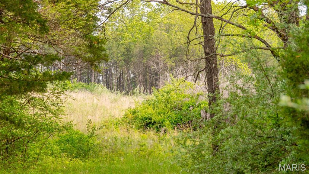 -tract #2 Tappmeyer Road Owensville, MO 65066 - Photo 27 of 60