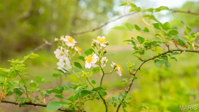 $476,000 | -tract #2 Tappmeyer Road, Owensville, MO 65066