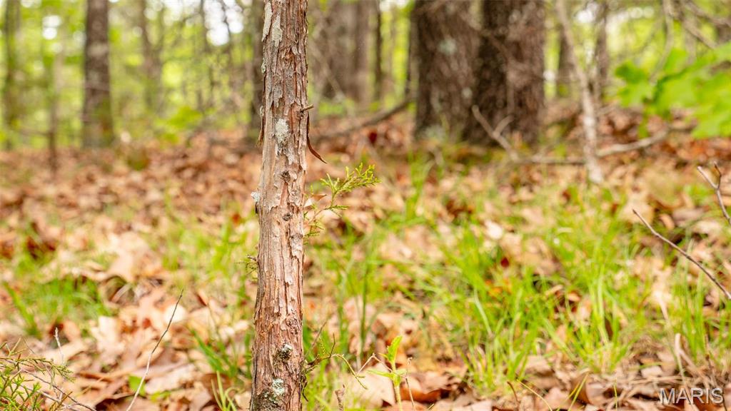 -tract #2 Tappmeyer Road Owensville, MO 65066 - Photo 35 of 60