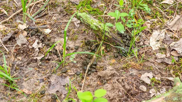 $476,000 | -tract #2 Tappmeyer Road, Owensville, MO 65066