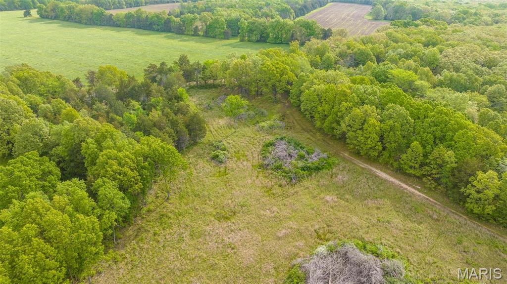 -tract #2 Tappmeyer Road Owensville, MO 65066 - Photo 4 of 60