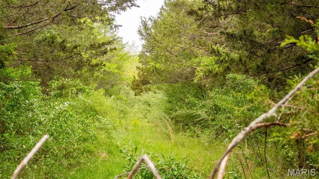 $476,000 | -tract #2 Tappmeyer Road, Owensville, MO 65066