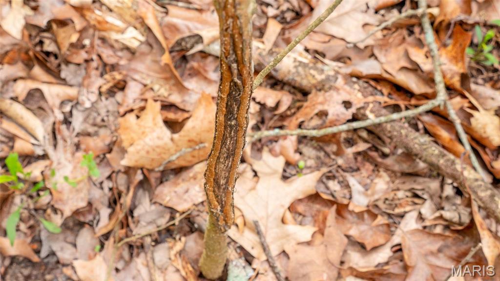 -tract #2 Tappmeyer Road Owensville, MO 65066 - Photo 47 of 60