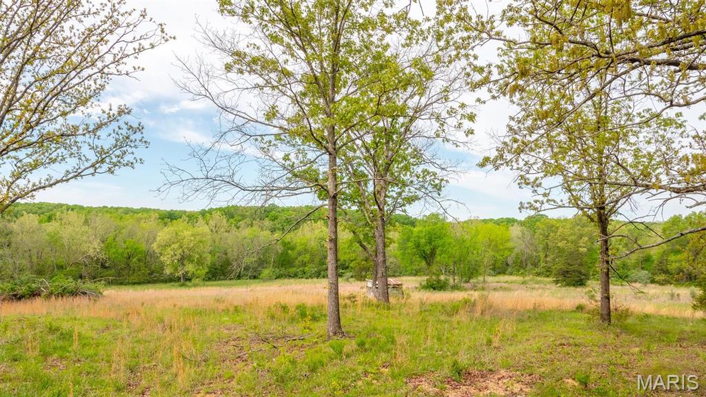 -tract #2 Tappmeyer Road Owensville, MO 65066 - Photo 49 of 60