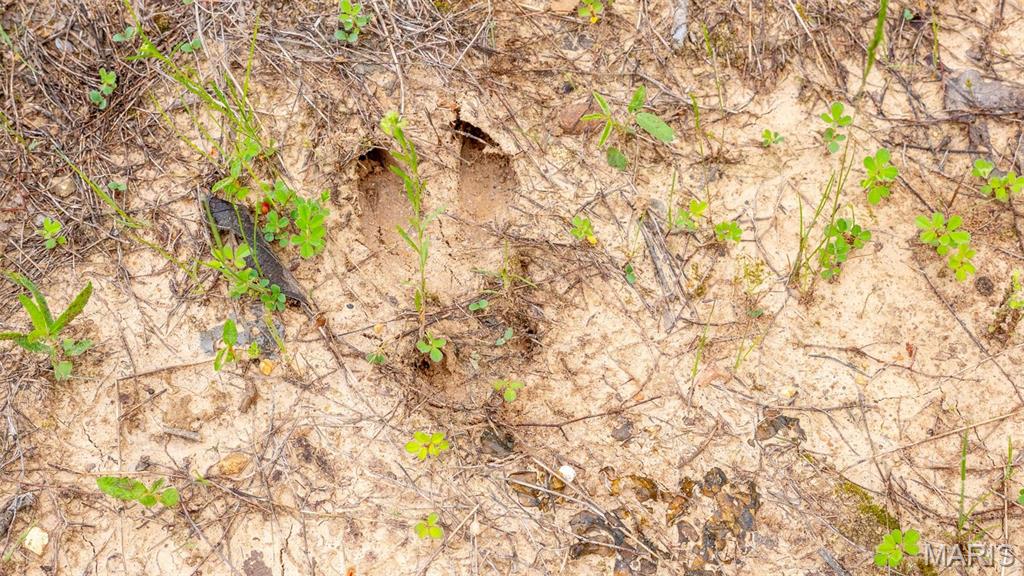 -tract #2 Tappmeyer Road Owensville, MO 65066 - Photo 57 of 60