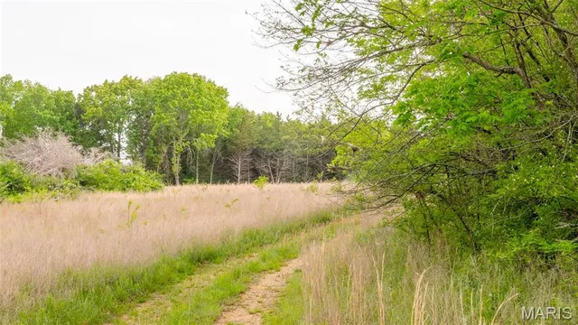$476,000 | -tract #2 Tappmeyer Road, Owensville, MO 65066