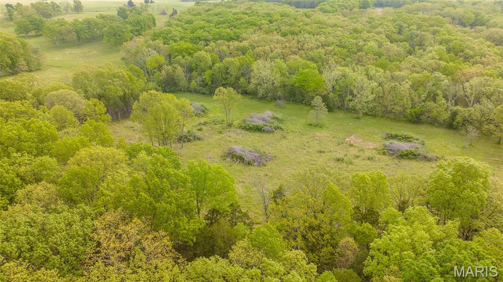 -tract #2 Tappmeyer Road Owensville, MO 65066 - Photo 10 of 60