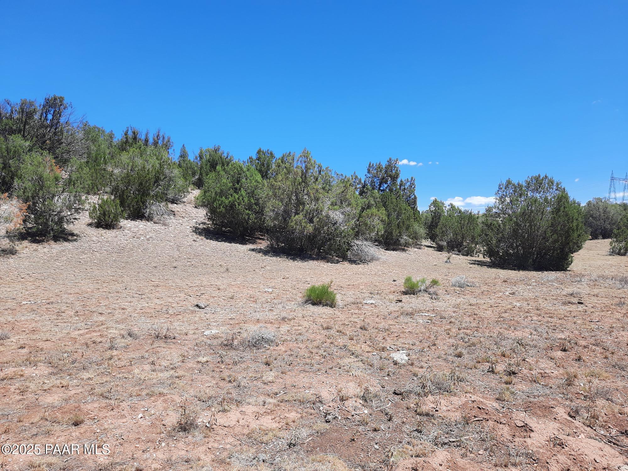 51943 North Agua Fria Road Seligman, AZ 86337 - Photo 1 of 9 cover