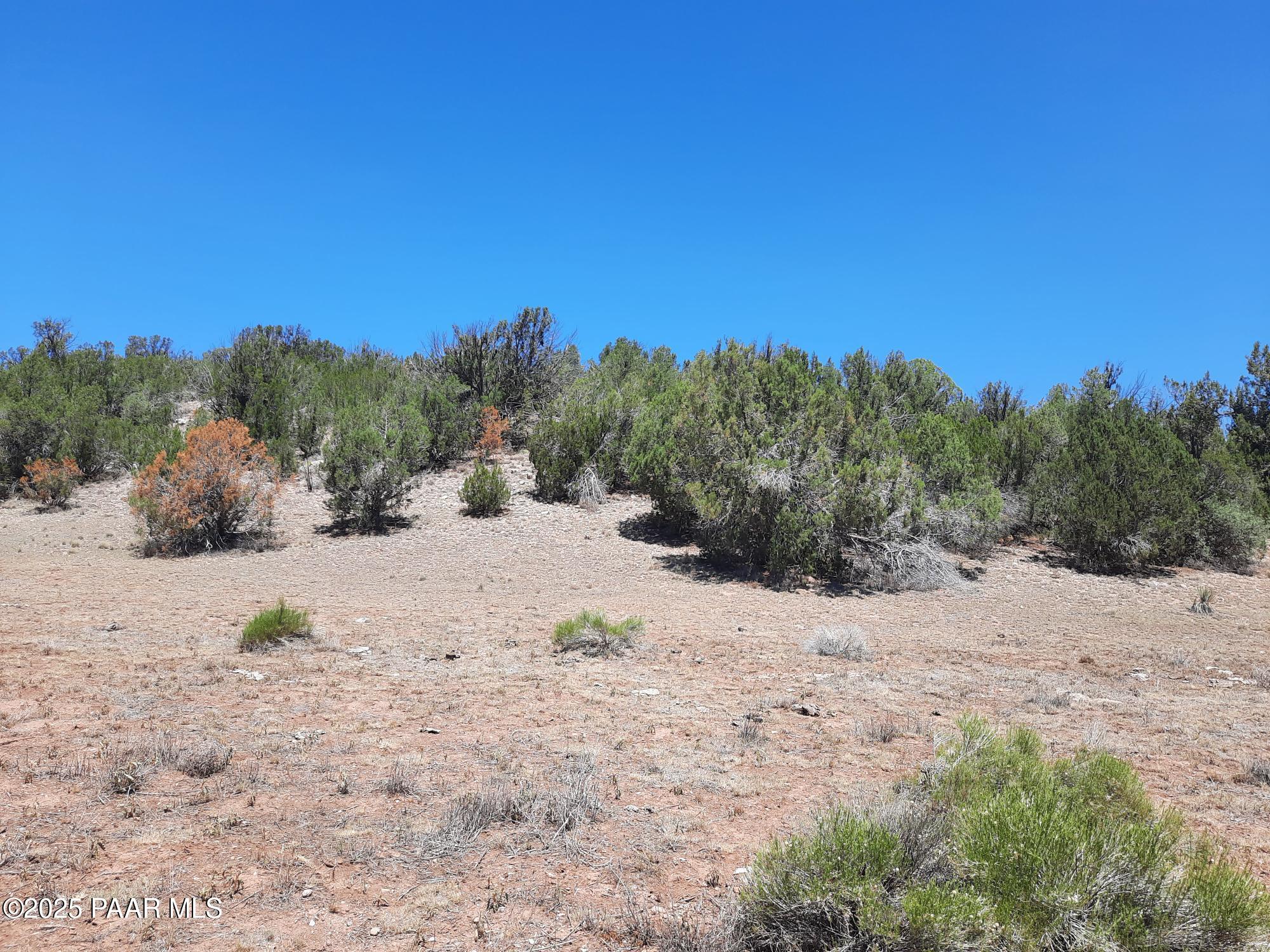 51943 North Agua Fria Road Seligman, AZ 86337 - Photo 2 of 9 20250722_115834