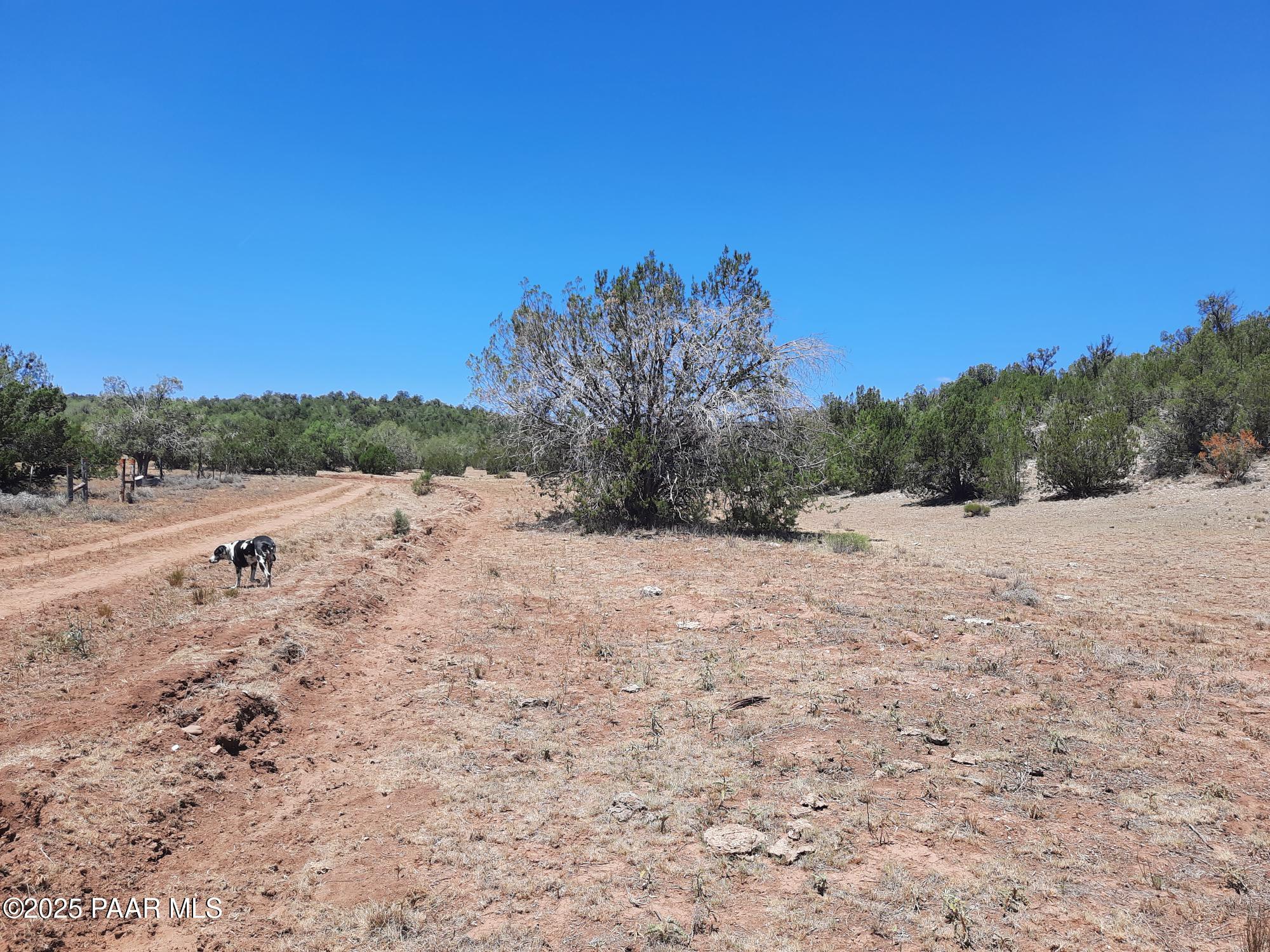 51943 North Agua Fria Road Seligman, AZ 86337 - Photo 3 of 9 20250722_115841