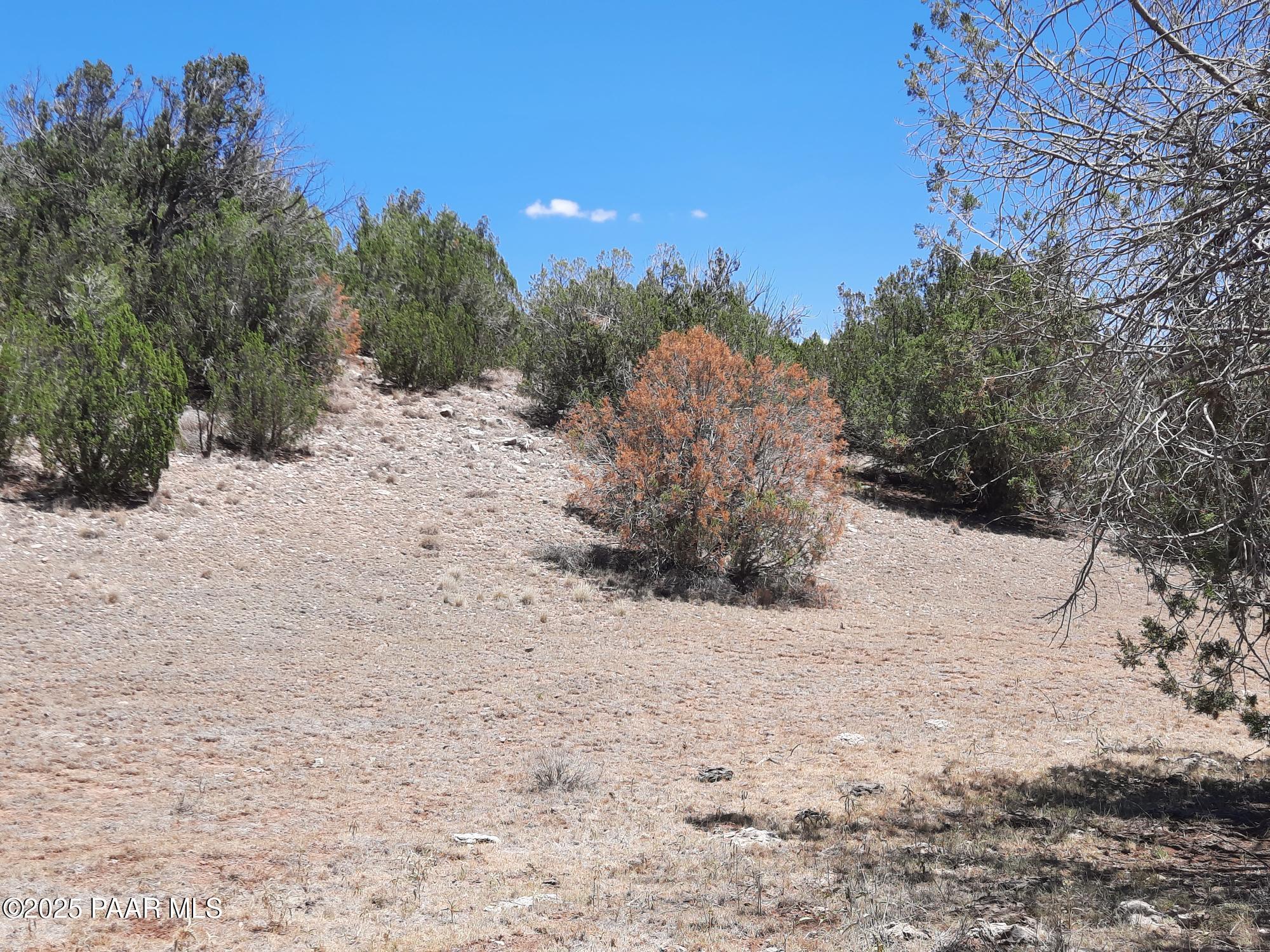 51943 North Agua Fria Road Seligman, AZ 86337 - Photo 5 of 9 20250722_115950