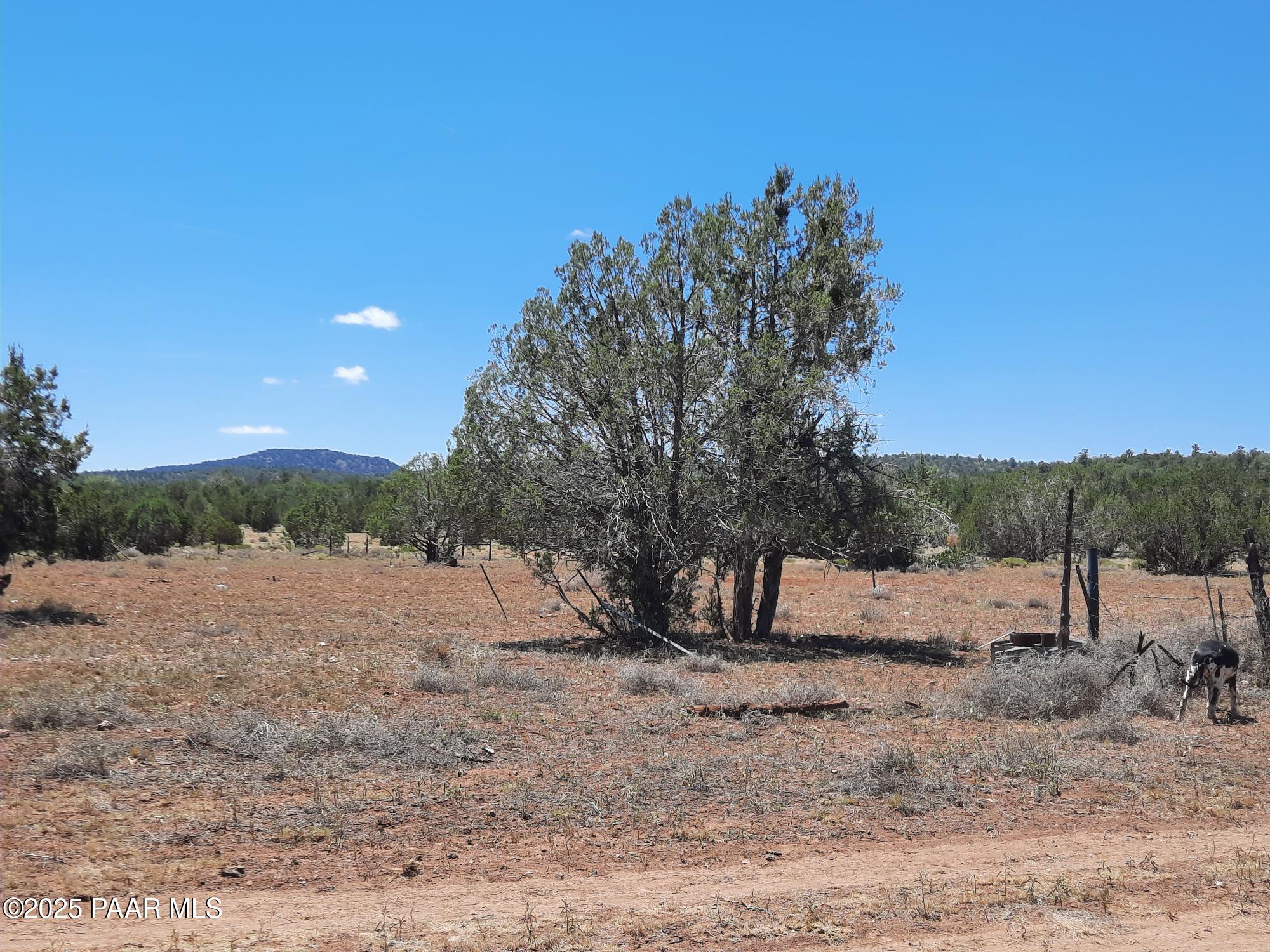 51943 North Agua Fria Road Seligman, AZ 86337 - Photo 6 of 9 20250722_120005