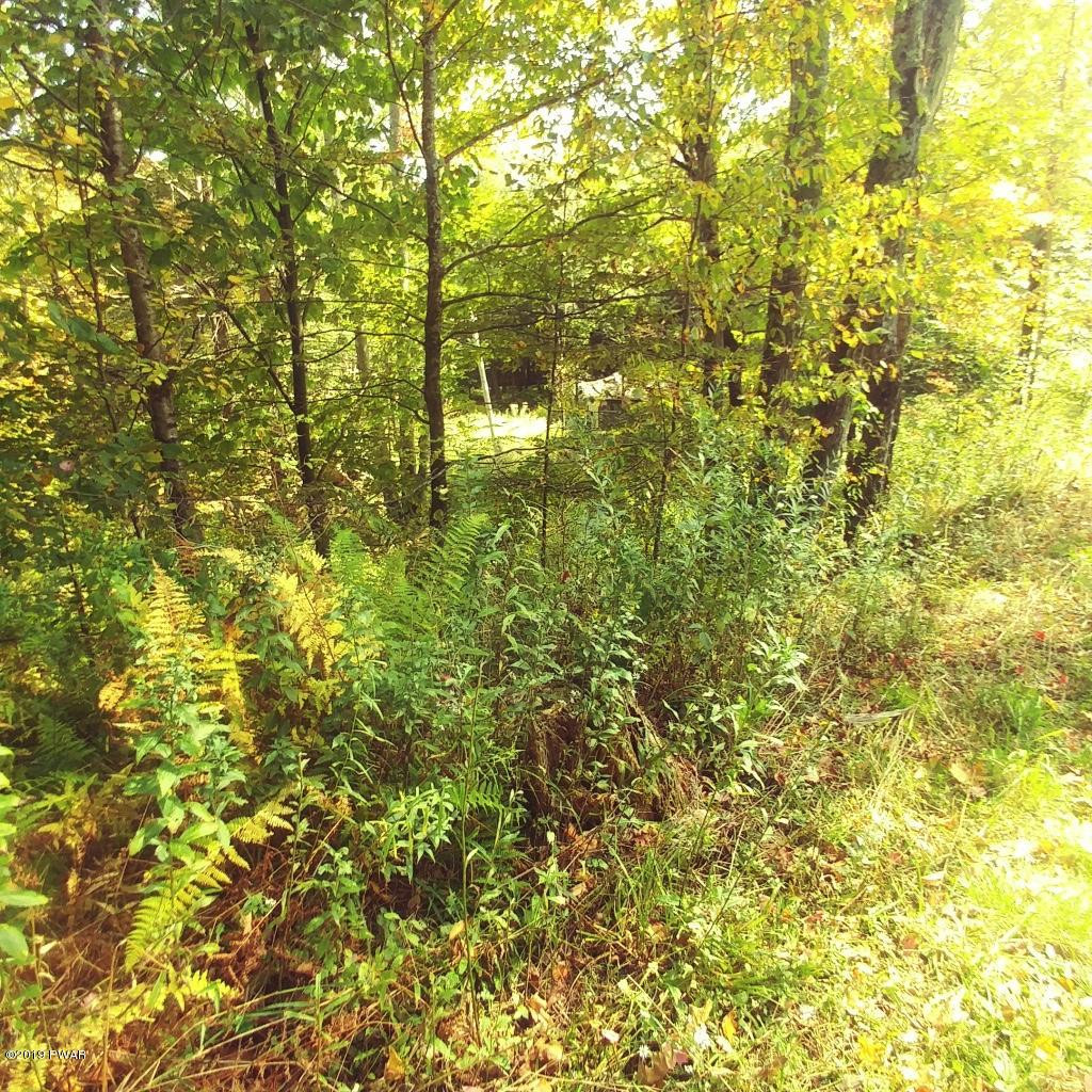 Bonnie Brook Road Roscoe, NY 12776 - Photo 7 of 7