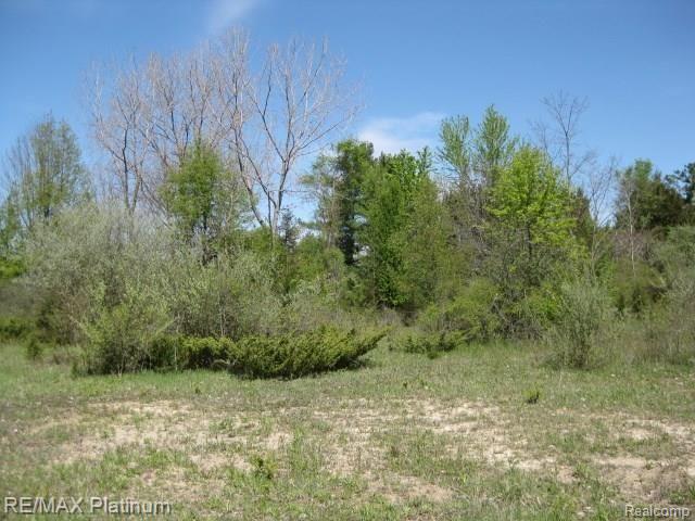 16-17 & 1 Golf Club Road Howell, MI 48843 - Photo 2 of 4