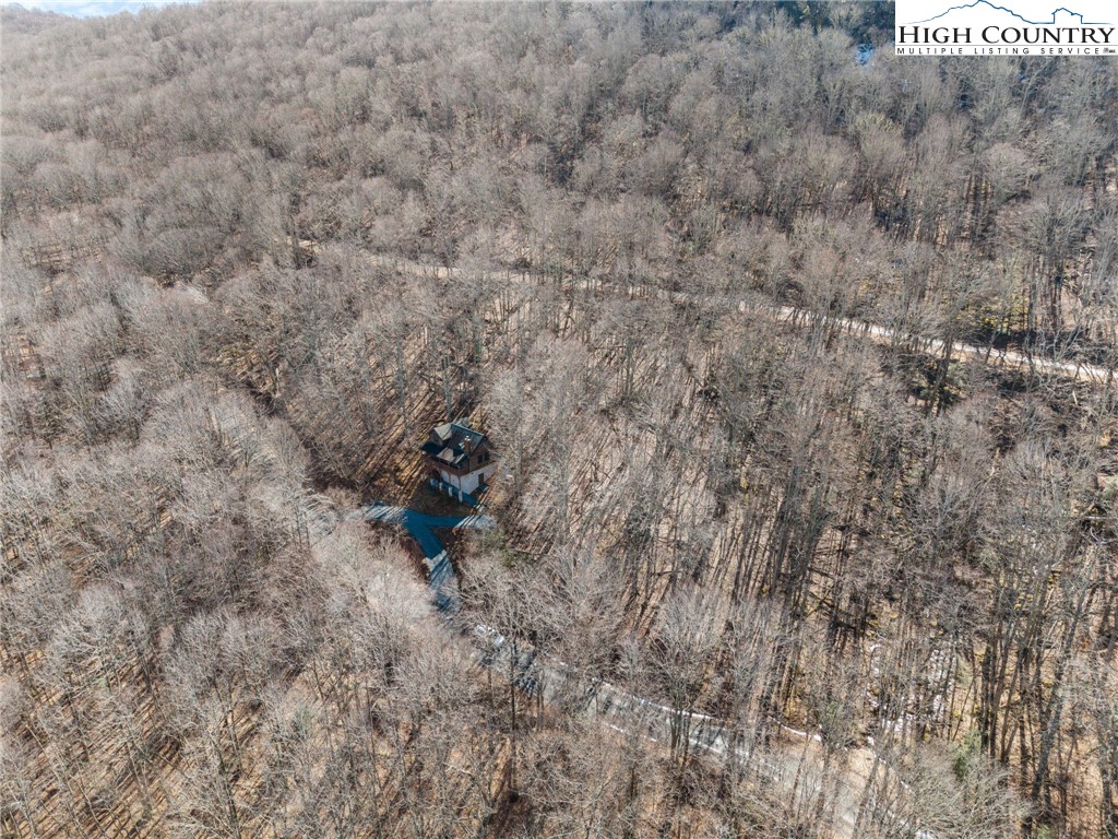 130 Hollow Tree Road Banner Elk, NC 28604 - Photo 4 of 22