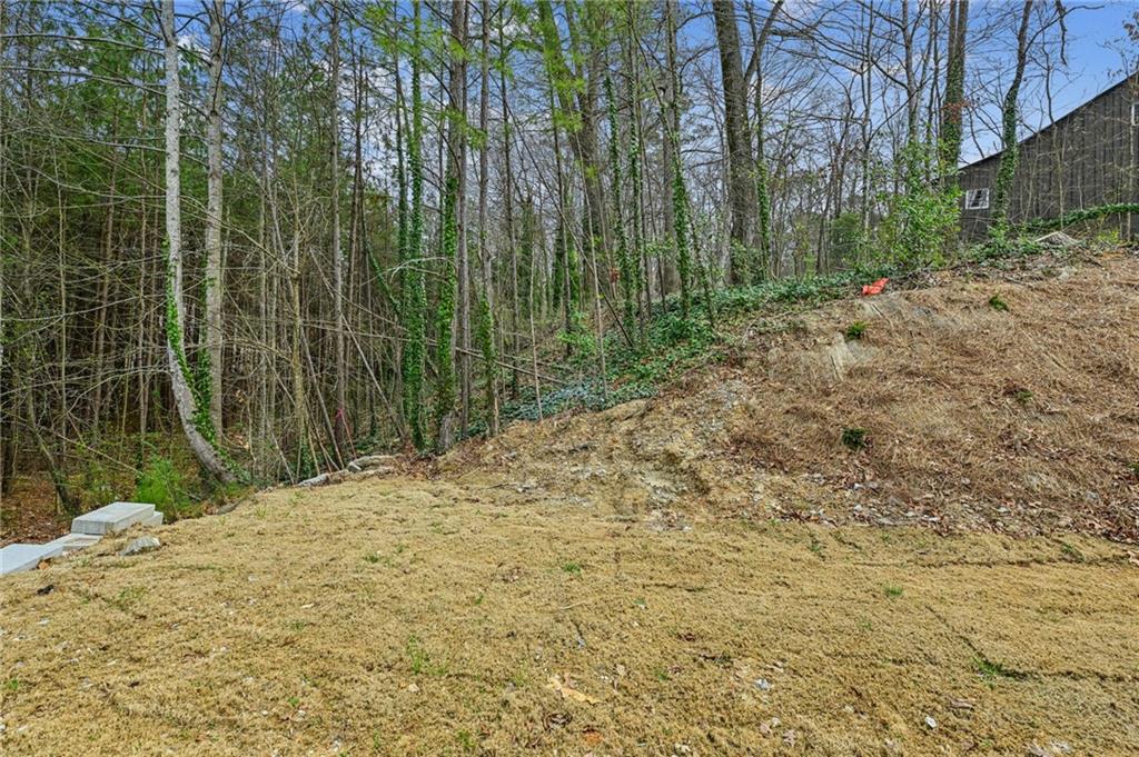 3128 Stonegate Drive Atlanta, GA 30331 - Photo 33 of 35 a view of a backyard of the house